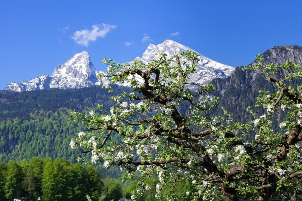 Villa Triembachhof Schönau am Königssee Exterior foto